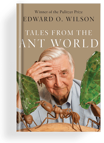 Tales from the Ant World